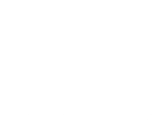 Established Outfitters