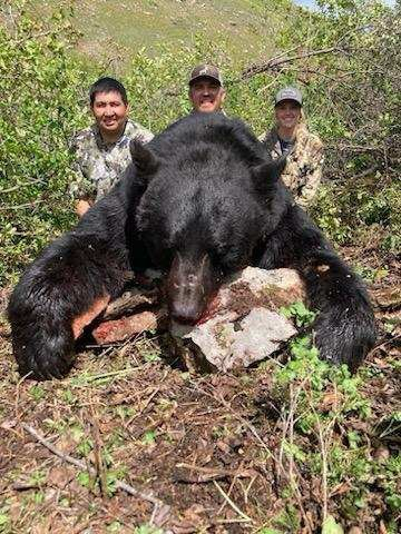 Spring Black Bear hunt on Quinault Reservation