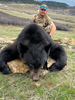 Southern Montana Spring Bear Hunt