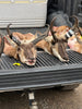 Western WA Blacktail Deer hunt
