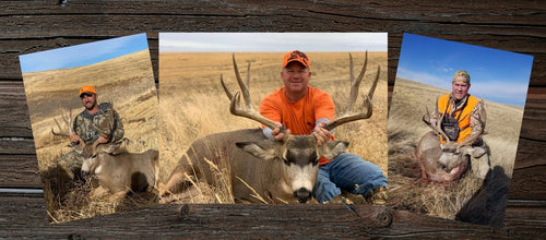 Republic WA Mule Deer hunt
